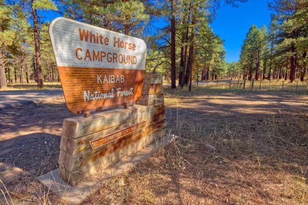 Téléchargez les photos : Le panneau d'entrée pour le terrain de camping White Horse Lake dans la forêt nationale de Kaibab près de Williams Arizona. Terrain public, aucun dégagement de propriété nécessaire. - en image libre de droit