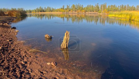 Téléchargez les photos : Vue panoramique du lac White Horse près de Williams Arizona depuis une lagune du côté sud. Situé dans la forêt nationale de Kaibab. - en image libre de droit