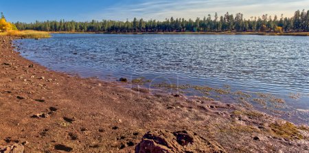 Téléchargez les photos : Vue de la rive nord-est du lac White Horse près de Williams Arizona. Situé dans la forêt nationale de Kaibab. - en image libre de droit