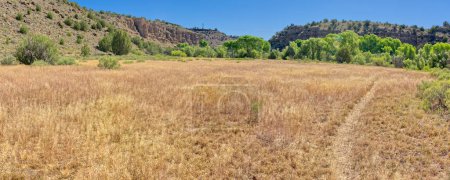 Téléchargez les photos : A dry meadow of dead grass in the Upper Verde River Wildlife Area. Situé près du confluent du ruisseau Granite et de la rivière Verde en Arizona. - en image libre de droit