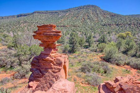 A sandstone Hoodoo on the side of a cliff in Woods Canyon south of Sedona AZ.