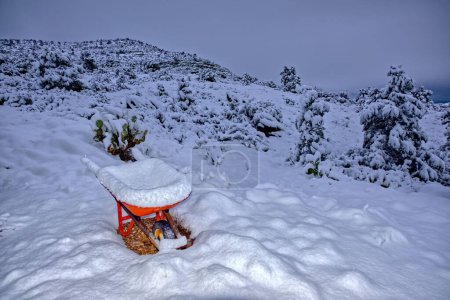 An old wheel barrow sitting on the slope of Sullivan Butte in Chino Valley AZ covered in snow from an overnight winter storm.