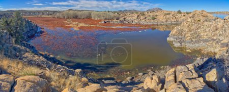 Ein rotes Sumpfgebiet in der East Bay of Willow Lake Park in Prescott Arizona.