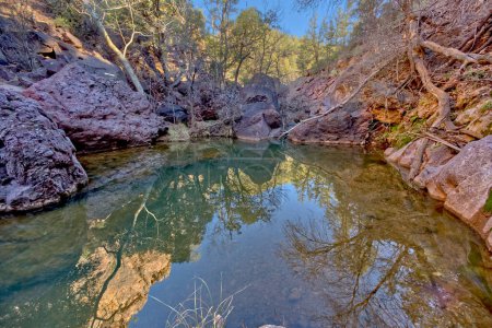 A reflective pool of water along the Pine Creek Trail in Tonto Natural Bridge State Park Arizona.
