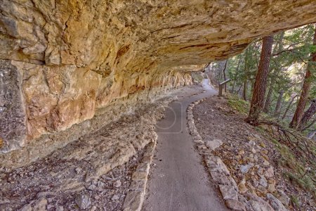 Entra en la historia. The Sky Island Trail at Walnut Canyon National Monument leading under an overhang of sandstone. El cañón es administrado por el Servicio de Parques Nacionales. No hay liberación de propiedad en necesario.