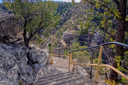 Walnut Canyon Stepping into History. Escaleras hacia abajo que conducen al Monumento Nacional al Cañón del Nogal. El sendero cuenta con muchas ruinas antiguas.