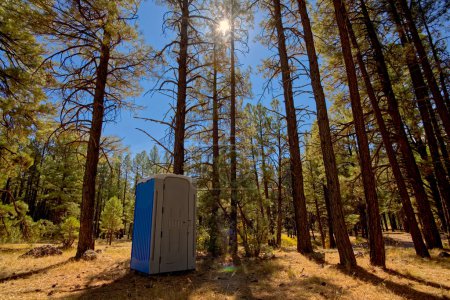 Foto de Un orinal portátil colocado entre los pinos Ponderosa en el Bosque Nacional de Kaibab a lo largo de la carretera Bill Williams Loop Road en el norte de Arizona. - Imagen libre de derechos