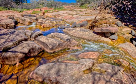 Ein Nebenfluss, der südlich von Sedona AZ in den Dry Beaver Creek mündet. Dieser Abschnitt wird wegen der flachen roten Sandsteinbrocken, die das Bachbett bedecken, Biberflachen genannt..