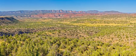 A panorama view of the Upper Verde River Watershed in the Prescott National Forest in Arizona near Perkinsville. The red rocks in the background is the Sycamore Canyon Wilderness west of Sedona.