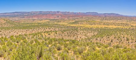 A panorama view of the Upper Verde River Watershed in the Prescott National Forest in Arizona near Perkinsville. The red rocks in the background is the Sycamore Canyon Wilderness west of Sedona. Taken at midday.