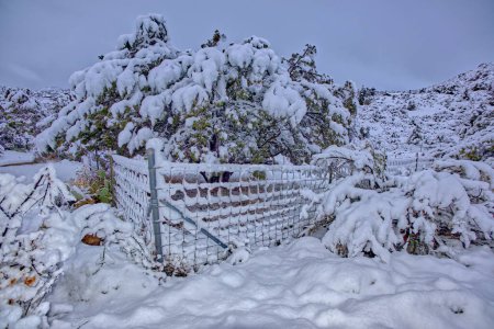 The corner of a fence covered in fresh snow from a winter storm that rolled through Chino Valley AZ on Thanks Giving Night.
