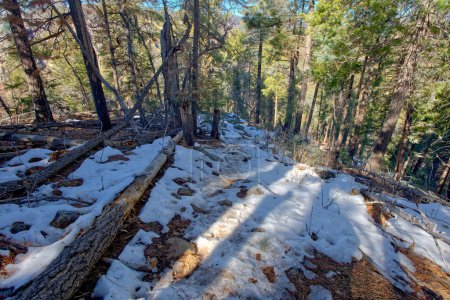 An icy section of the Telephone Trail north of Sedona AZ.