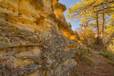 Une formation rocheuse le long du sentier téléphonique au nord de Sedona AZ appelé le mur de récif. Les fenêtres de roche dans son côté sont appelés les trous de Peep.