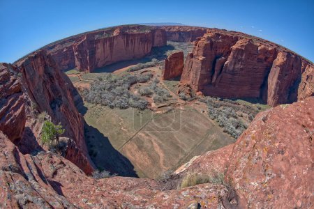 Photo for Spring Canyon in Canyon De Chelly National Monument Arizona viewed from the Sliding House Overlook on the south rim. - Royalty Free Image