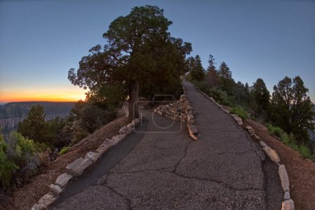 The junction where the Transept Trail meets the Bright Angel Point Trail on the North Rim of Grand Canyon Arizona at sundown.