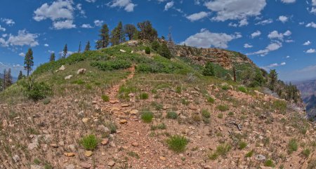 Téléchargez les photos : Sommet de la montagne de selle qui borde le parc national du Grand Canyon Arizona. - en image libre de droit