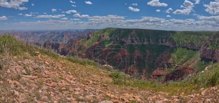 Point Imperial Grand Canyon North Rim Arizona in the distance viewed from the summit of Saddle Mountain on the north edge of the park.
