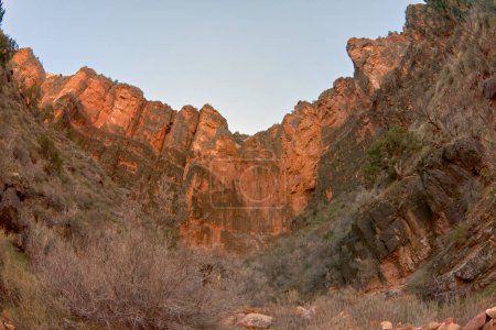 The cliff wall of Garden Spring which feeds Garden Creek in Bright Angel Canyon at Grand Canyon Arizona.