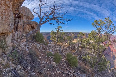 Téléchargez les photos : Vue depuis le bas des falaises de la Grande Muraille de Mohave Surplombant la route des ermites au Grand Canyon Arizona. - en image libre de droit