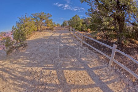 The rim trail at Grand Canyon Arizona heading east toward Powell Point.