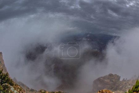 Foto de Vista del Gran Cañón desde Lipan Point en un día nublado con las nubes flotando dentro del cañón. - Imagen libre de derechos