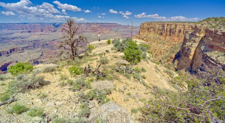 Wide angle view of a hiker on the edge of a cliff between Moran Point and Zuni Point at Grand Canyon Arizona.