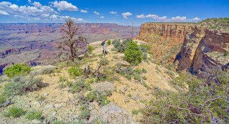 A hiker putting on a backpack before heading away from a cliff at Grand Canyon Arizona between Moran point and Zuni Point.