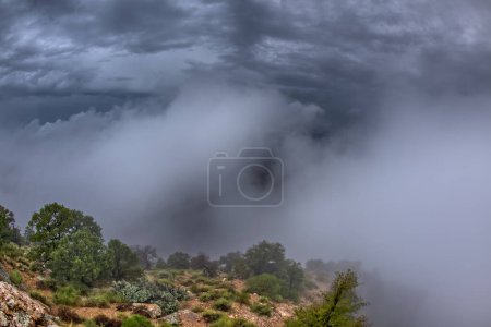 Grand Canyon South Rim Arizona filled with clouds viewed from Navajo Point.