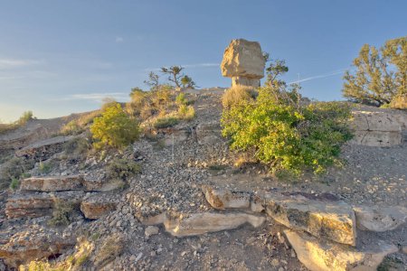 The famous Mushroom Rock at Shoshone Point in Grand Canyon National Park Arizona at sunrise.