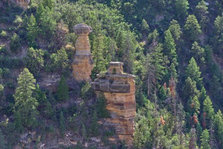 Téléchargez les photos : Gros plan d'une formation rocheuse au Grand Canyon Arizona appelée Anvil de Thor. - en image libre de droit