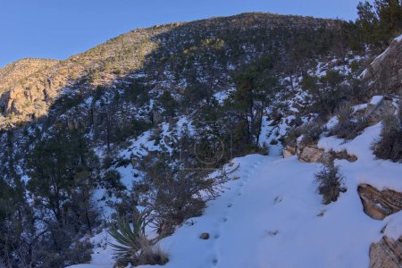The snow covered cliff trail of Waldron Canyon at Grand Canyon Arizona, southwest of Hermit Canyon in winter.