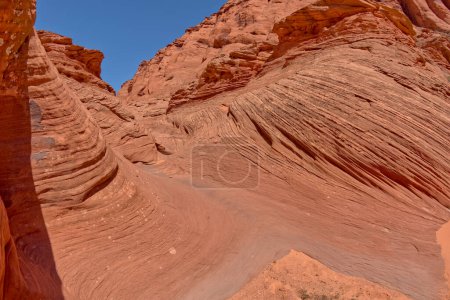 Sandstone Waves in Ferry Swale Canyon near Page Arizona.