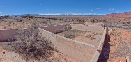 Die Ruinen des alten Gehöfts Jacob 's Pool unterhalb des Vermilion Cliffs National Monument Arizona. Die Ruinen stammen aus dem Jahr 1951.