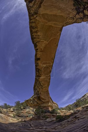 Téléchargez les photos : The Owachomo Bridge at Natural Bridges National Monument Utah. Le nom signifie Rock Mound à Hopi. - en image libre de droit