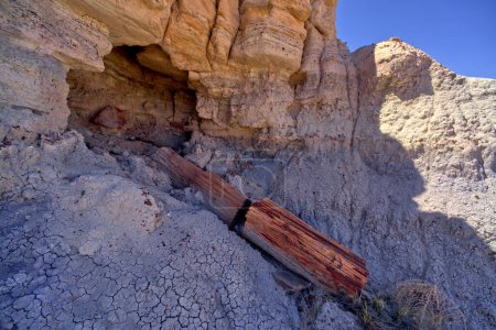 A cave in Jasper Forest just below Agate Plateau at Petrified Forest National Park Arizona. Stickers 710154684