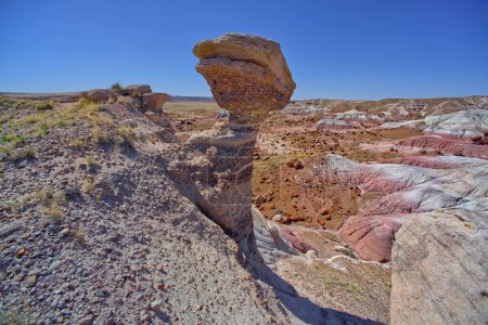 A hoodoo overlooking Jasper Forest in Petrified Forest National Park Arizona that resembles a Dinosaur Head.