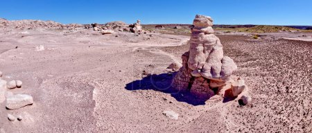 Various hoodoos in Angels Garden at Petrified Forest National Park Arizona.