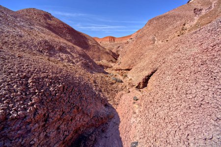 Foto de Un cañón en forma de V en el Bosque Rojo en el Parque Nacional Bosque Petrificado Arizona. - Imagen libre de derechos