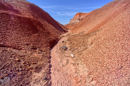 A V-shaped canyon in the Red Forest at Petrified Forest National Park Arizona.