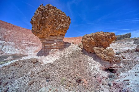 Balanced boulder below the cliffs of Pintado Point in Petrified Forest National Park Arizona.