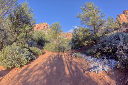 A trail leading into Fay Canyon in Sedona Arizona on a winter morning.