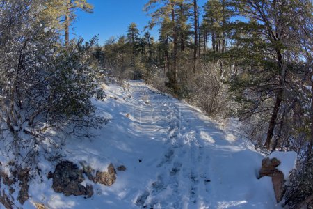 The Thumb Butte Recreation Area day use hiking trail in the Prescott National Forest just west of Prescott Arizona, covered in winter snow and ice.