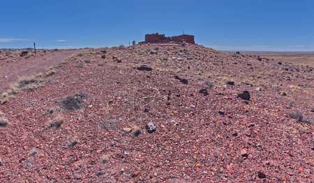 The historic Agate House on a hill in Petrified Forest National Park Arizona. magic mug #711087270