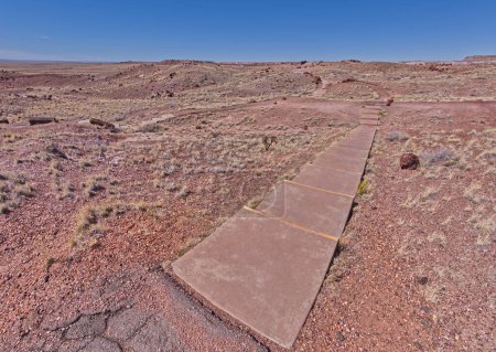 Steps along the Giant Logs Trail leading to a scenic overlook in Petrified Forest National Park Arizona.