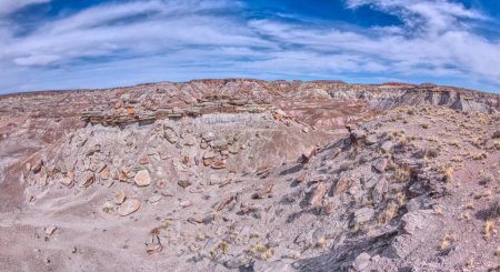 Foto de Pequeñas mesas con tapas planas llamadas Islas Rock en el extremo sur del Parque Nacional Bosque Petrificado Arizona. - Imagen libre de derechos