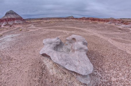 Foto de Piedra arenisca que ha sido erosionada en formas que se asemejan a conchas de almejas en el extremo sur del Parque Nacional Bosque Petrificado Arizona. - Imagen libre de derechos