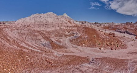 Foto de Una colina de bentonita en el valle debajo del lado sur de Mesa Azul en el Parque Nacional Bosque Petrificado Arizona. - Imagen libre de derechos