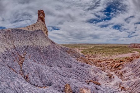 A hoodoo spire in the valley below Blue Mesa of Petrified Forest National Park Arizona shaped like a Horse Head when viewed from certain angles.