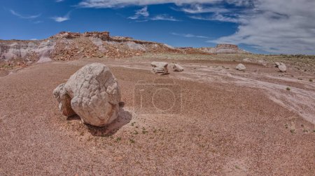 Foto de Grandes rocas que han rodado por los acantilados del este de Blue Mesa en el Parque Nacional Bosque Petrificado Arizona. - Imagen libre de derechos