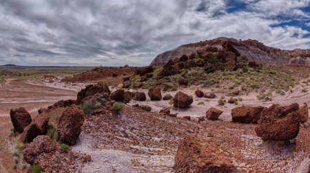 Foto de Grandes rocas hechas de conglomerados debajo de los acantilados del este de Blue Mesa en el Parque Nacional Bosque Petrificado Arizona. - Imagen libre de derechos
